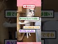 面白い猫の画像で打線組んだｗｗ#動物 #猫 #2ちゃんねる #2ch面白いスレ #2ch #5ch #shorts