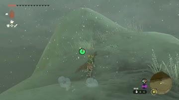 [DAY 682] of finding one korok seed in TotK everyday until we get them all