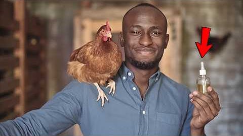 Dierenartsen noemden me GEK! Nu vragen ze me om mijn geheim! (Propolistinctuur)