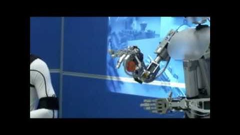 A Master-Slave Telerobot