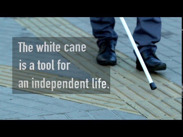 About the White Cane