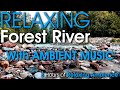 3 Hour Relaxing Beautiful Forest River with Soothing Sounds of Water, Nature and Music