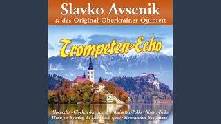 Video thumbnail of "Slavko Avsenik - Fröhlicher Kehraus"