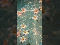 Скачать обои на телефон Красивые цветы #shorts #красивыевидео #4к #фон #обоинателефон