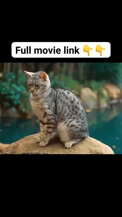 Full movie Link 👉https://bit.ly/FreeDownloadFullMovie-HdMovie-com
