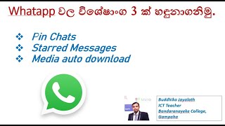 Whatsapp Literacy 01