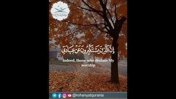 سحر القرآن الكريم من سورة غافر | وقال ربكم ادعونى أستجب لكم