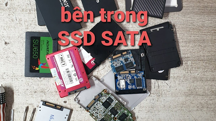 Nên mua ssd hãng nào 2023