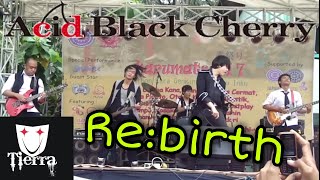 Acid Black Cherry - Re:birth (Throwback Band Cover)