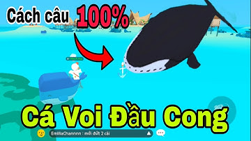 PLAY TOGETHER | Câu Cá VOI ĐẦU CONG Bằng Cách Này | CÁ Play