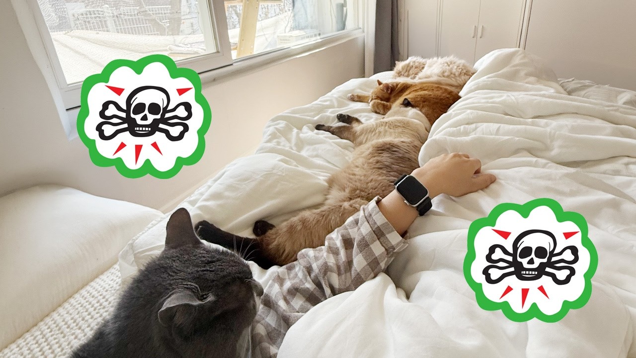 오늘도 합사 후회합니다ㅋㅋㅋㅋ