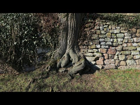 Video: Einfacher aber zuverlässiger Fundamentseitentisch