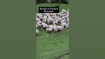 Benefits of Intuitive Movement!