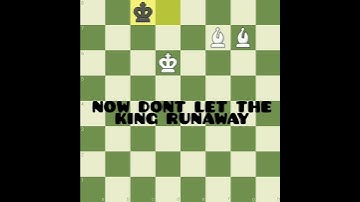 How to checkmate with 2 Bishops #chess #shorts #checkmate