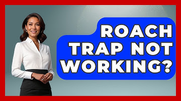 Roach Trap Not Working? - Insects and Invaders