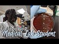 Uni Diaries | microbiology lab &amp; clinical rotations prep (medical laboratory science major)