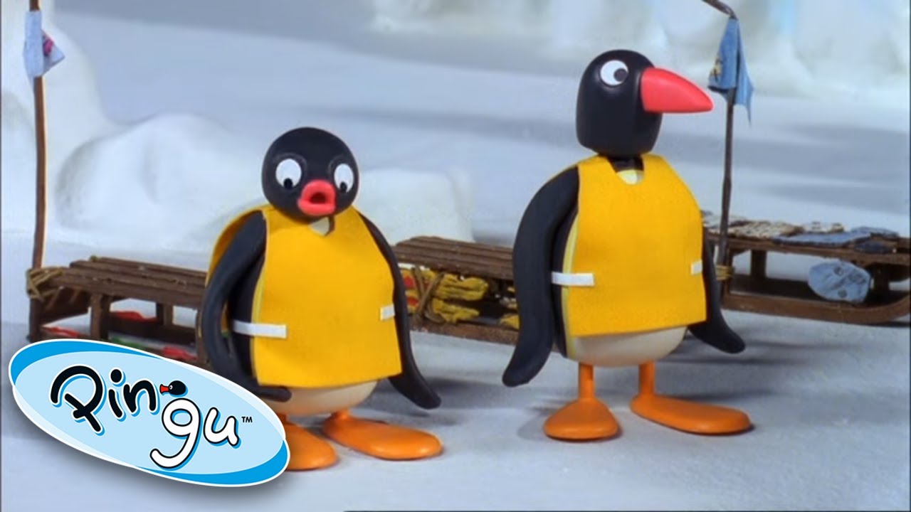 ⁣Pingu's Sledge Academy! @Pingu Official Channel