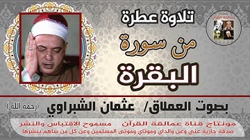 حنجرة ذهبية منسية والعملاق عثمان الشبراوي وما تيسر من سورة البقرة