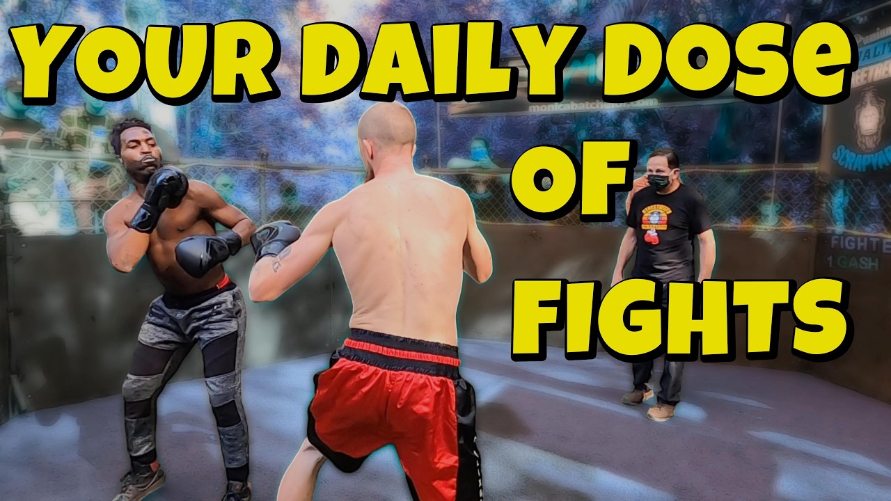 YOUR Daily Dose of Fights