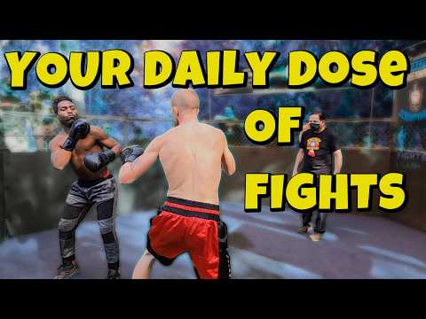 YOUR Daily Dose of Fights