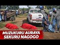 Maihwe Muzukuru Auraya Gogo Vake NaSekuru Akatiza Nemombe Nemota Vanhu Vakaungana Maihwe Muzukuru Auraya Gogo Vake NaSekuru Akatiza Nemombe Nemota Vanhu Vakaungana