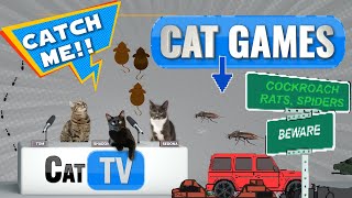 ألعاب القطط | اصطفاف المخلوقات: سباق رقمي! 🐱🕷️🏁 | فيديو للقطط 🎮🐭🕷️🐀🕹️ screenshot 2