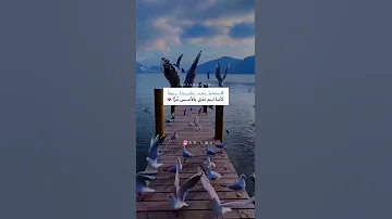 بك استجير وفي الفؤاد هموم 