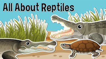 All About Reptiles