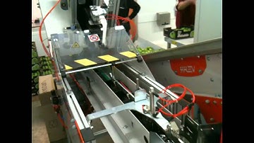 Fruit Counting Machine
