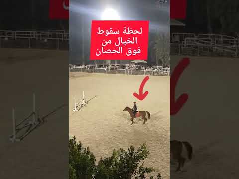 كارثة حقيقية فارس يسقط بسبب خطأ خيال يسقط من فوق حصان وتسببت في كارثة حقيقية الفيديو كامل اول تعليق