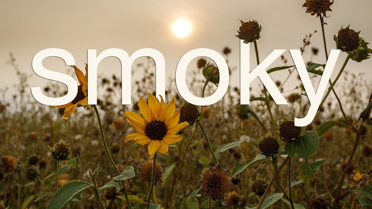 Black cloud smoke png image Smoky - YouTube