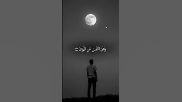 ارح قلبك بذكر الله♥️#قران_كريم #قرآن #تلاوة_خاشعة #تلاوة_مؤثرة #ذكر_الله #اسلام_صبحي