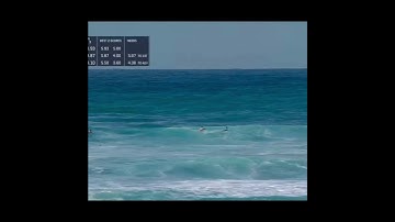 Humpback Whales Interrupt Surf Contest  Broadcast | Hurley Pro  Sunset Beach