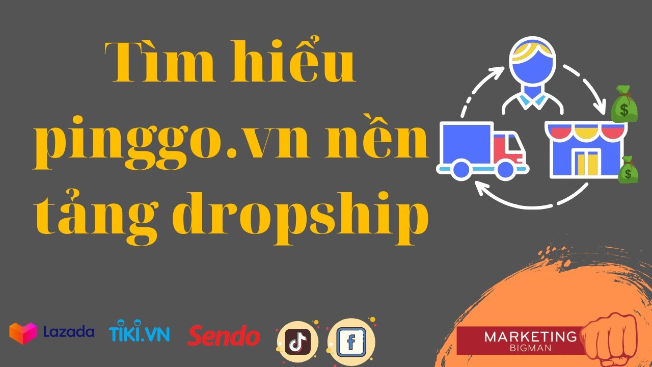Review pinggo nền tảng dropship, affiliate marketing - youtube