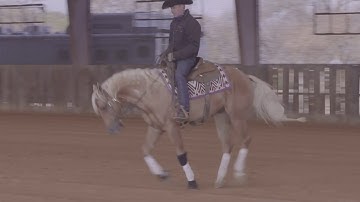 Bud Lyon: Counter Canter