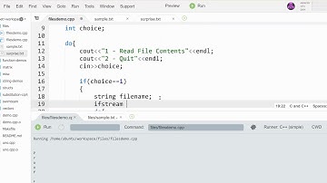 Letting the User Specify File Name in C++