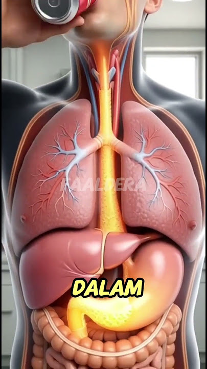 Mengapa Bisa Bersendawa Setelah Minum Coca-Cola?😱😱#faktaunik #shorts