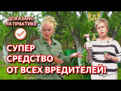 Видео: Експерт за дестинация: Аляска - Матадор мрежа