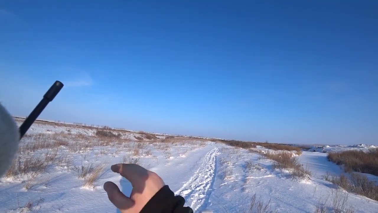 Охота на зайца, река Тобол. Гоняем зайцев. Сезон 2025-2026 №249.