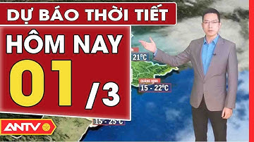 Dự Báo Thời Tiết Tối Ngày 1/3: Miền Bắc Vào Đợt Mưa Phùn, Đêm Và Sáng Trời Rét | ANTV