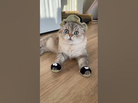 Клиент - обманщик 😑 - YouTube