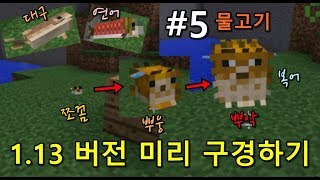 마인크래프트] 1.13 버전 미리 구경하기, #5 물고기 (새로운 물고기 몹 추가 - 대구, 연어, 귀여운 복어) - Youtube