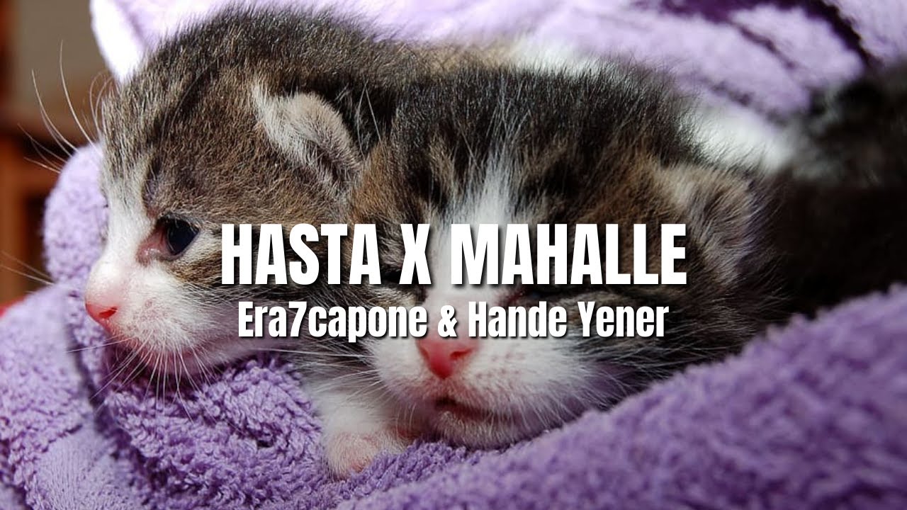 Era7capone & Hande Yener – Hasta X Mahalle (Lyrics / Şarkı Sözleri)