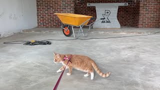 Medi Cat inspected construction project of a small church