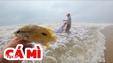 Mưa To, Sóng Lớn Nhưng Cá Lại Ở Rất Khơi// Bà Con Kiếm Con Cá Bờ Khá Khó Khăn|