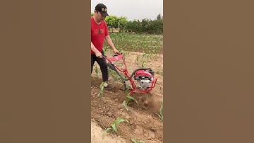 Zongshen power micro tillage machine gasoline weeder.