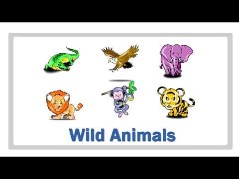 How to speak  Tagalog (or Filipino) - Wild Animals (Part )