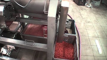 SRAML Sour Cherry Puree Processing Line