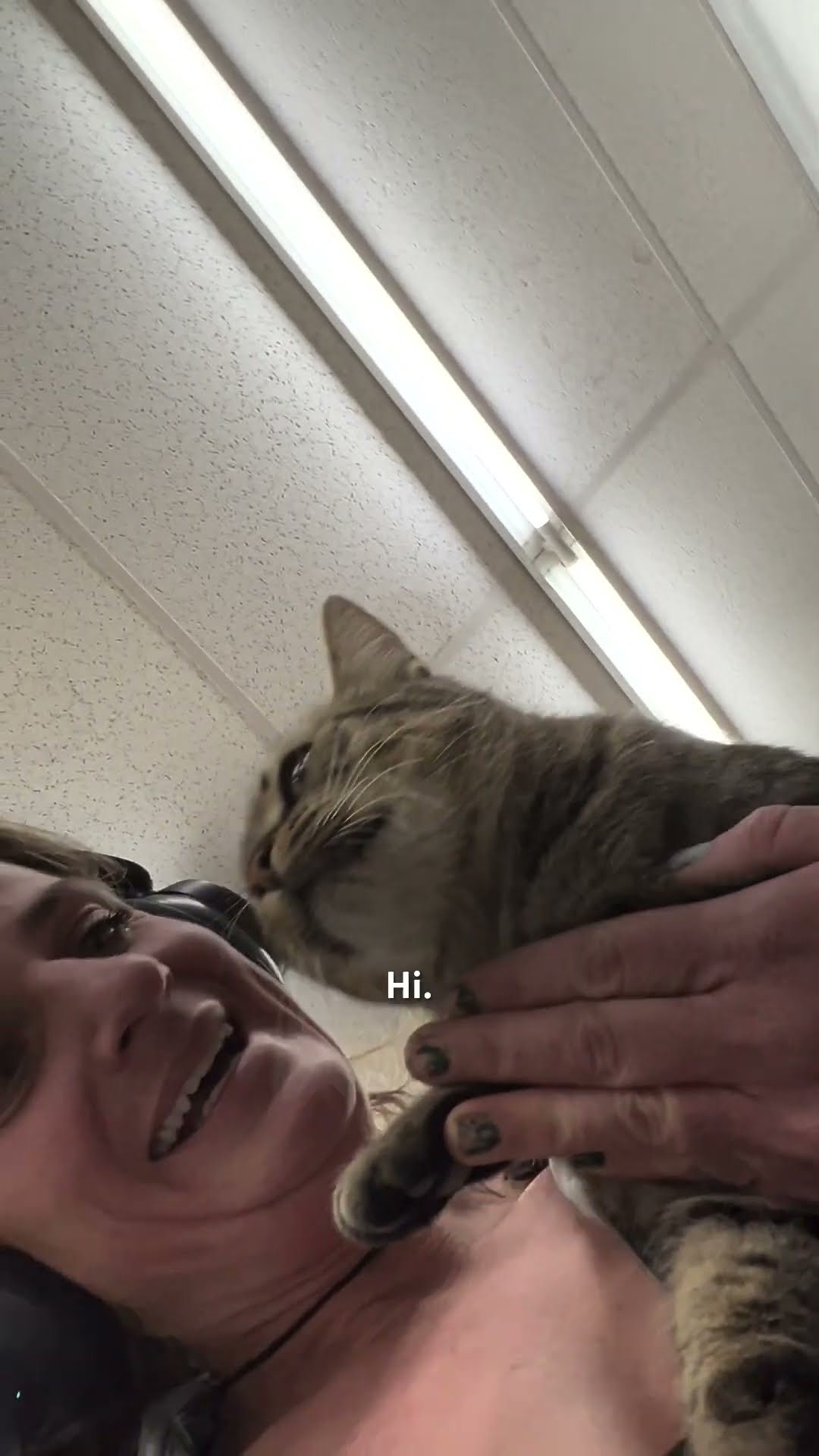 She Brought Home A Pizza \u0026 A Cat From The Supermarket | The Dodo