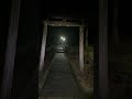 【心霊スポット】恐怖のライブ配信…ホラー生放送で感じてください…